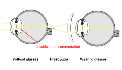 Glasses for reading