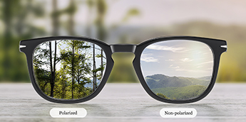 Polarised Lenses